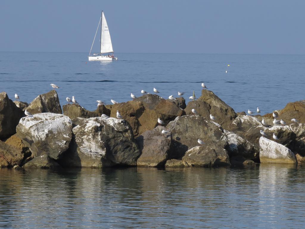 Villino Ermione Hotel Marina Di Pisa Eksteriør billede